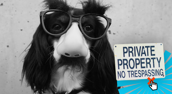 Przetestuj wszystkie ustawienia dla komentarzy