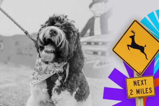 Jak używać kategorii i tagów w WordPress