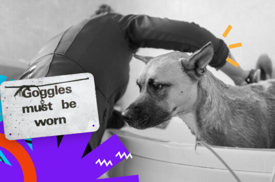 Dlacego opieka nad stroną WordPress jest ważna?