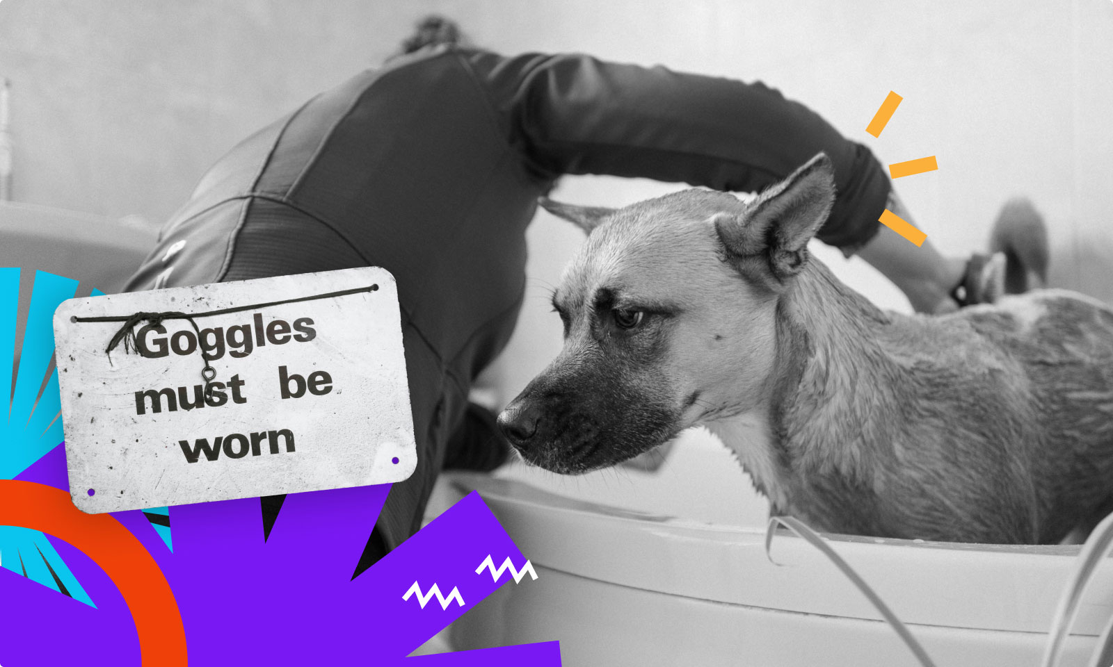 Dlacego opieka nad stroną WordPress jest ważna?