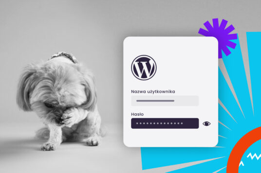 Dlaczego ukrywanie strony logowania W WordPress nie chroni cię przed problememi