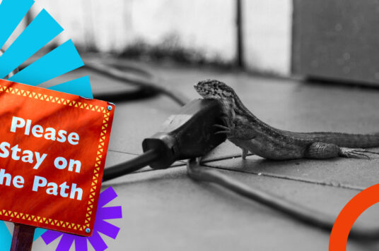 Co musisz wiedzieć o wtyczkach WordPress zanim zainstalujesz?