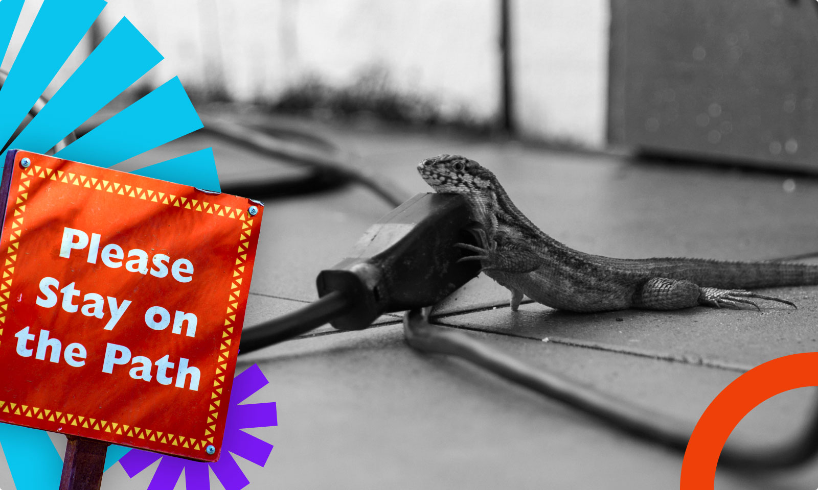 Co musisz wiedzieć o wtyczkach WordPress zanim zainstalujesz?