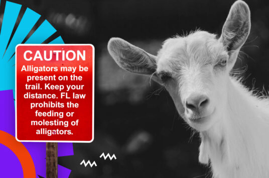 Aktualizacje WordPress - bezpieczeństwo, SEO i wydajność