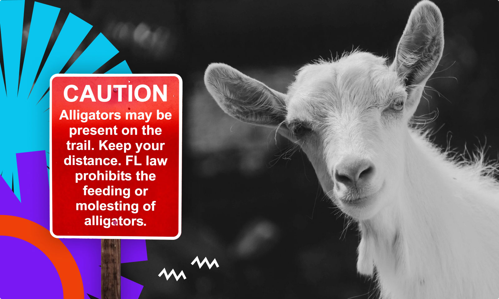 Aktualizacje WordPress - bezpieczeństwo, SEO i wydajność